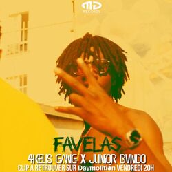 Cover of Favelas