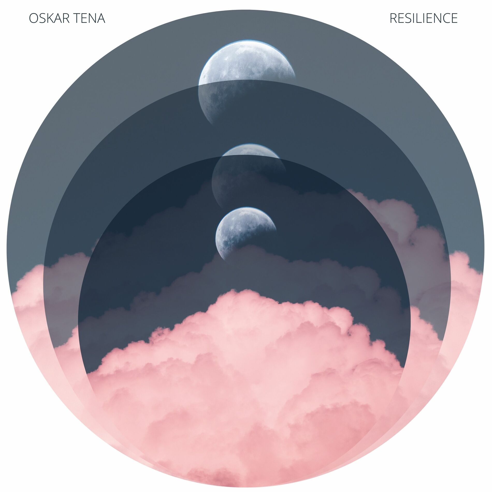Album cover of Resilience