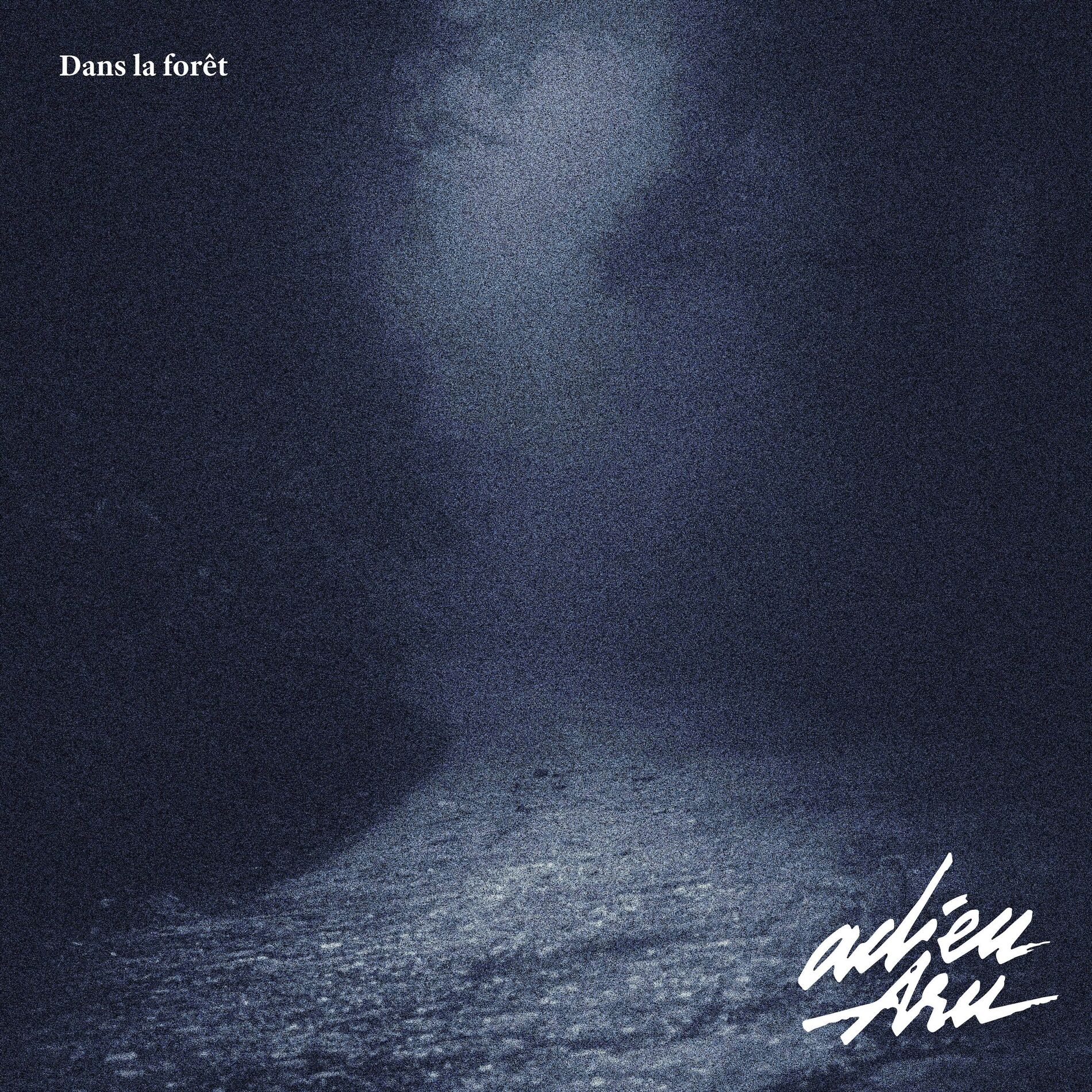 Album cover of Dans la forêt
