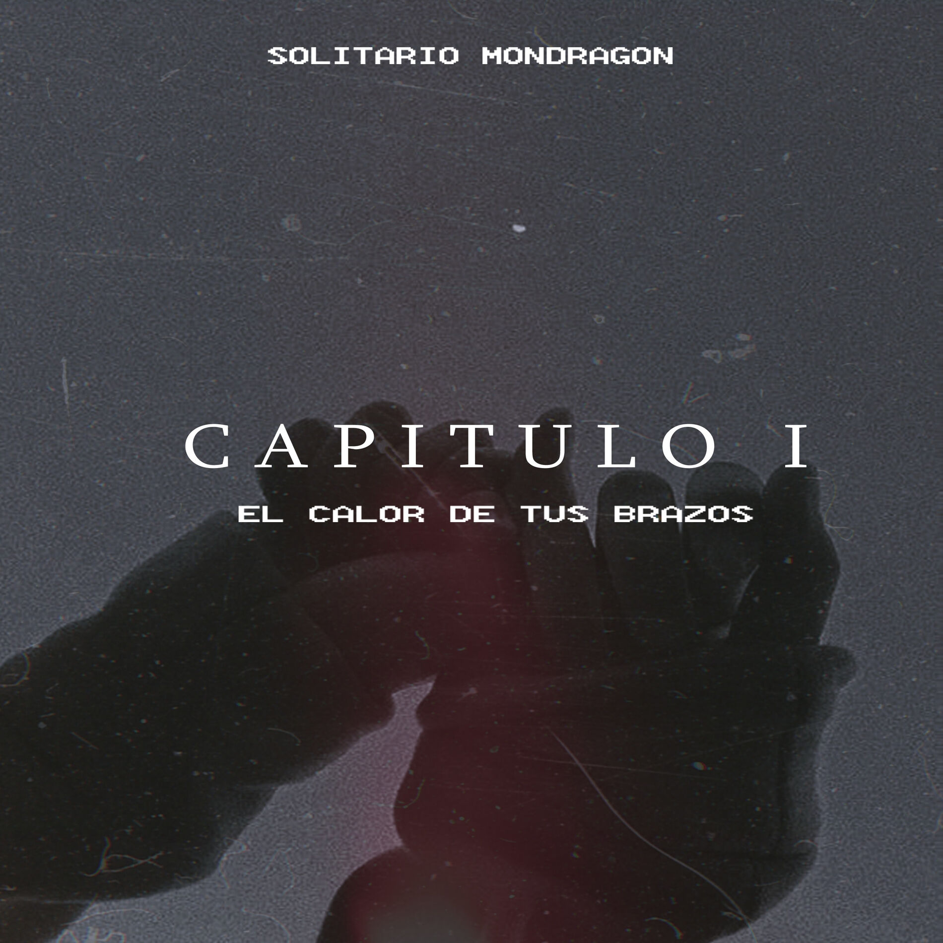 Album cover of Capitulo I: El Calor de Tus Brazos