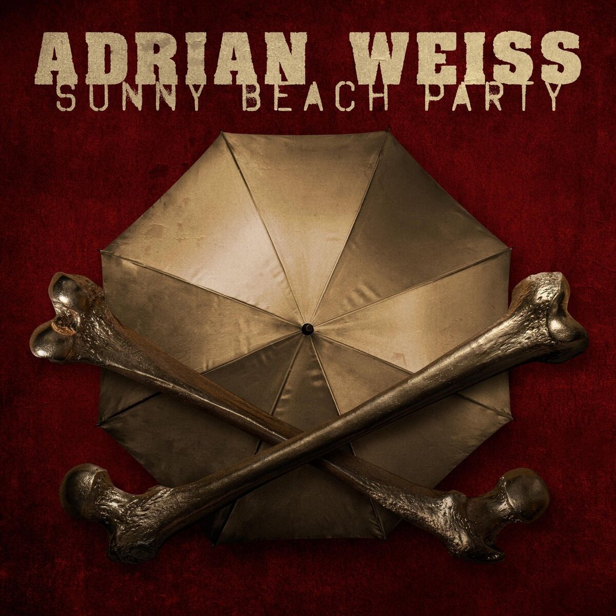 Album cover of Sunny Beach Party