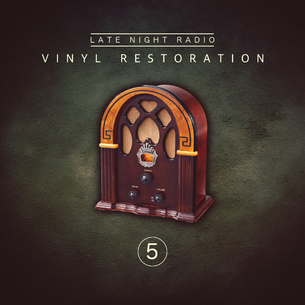 Picture of Vinyl Restoration, Vol. 5