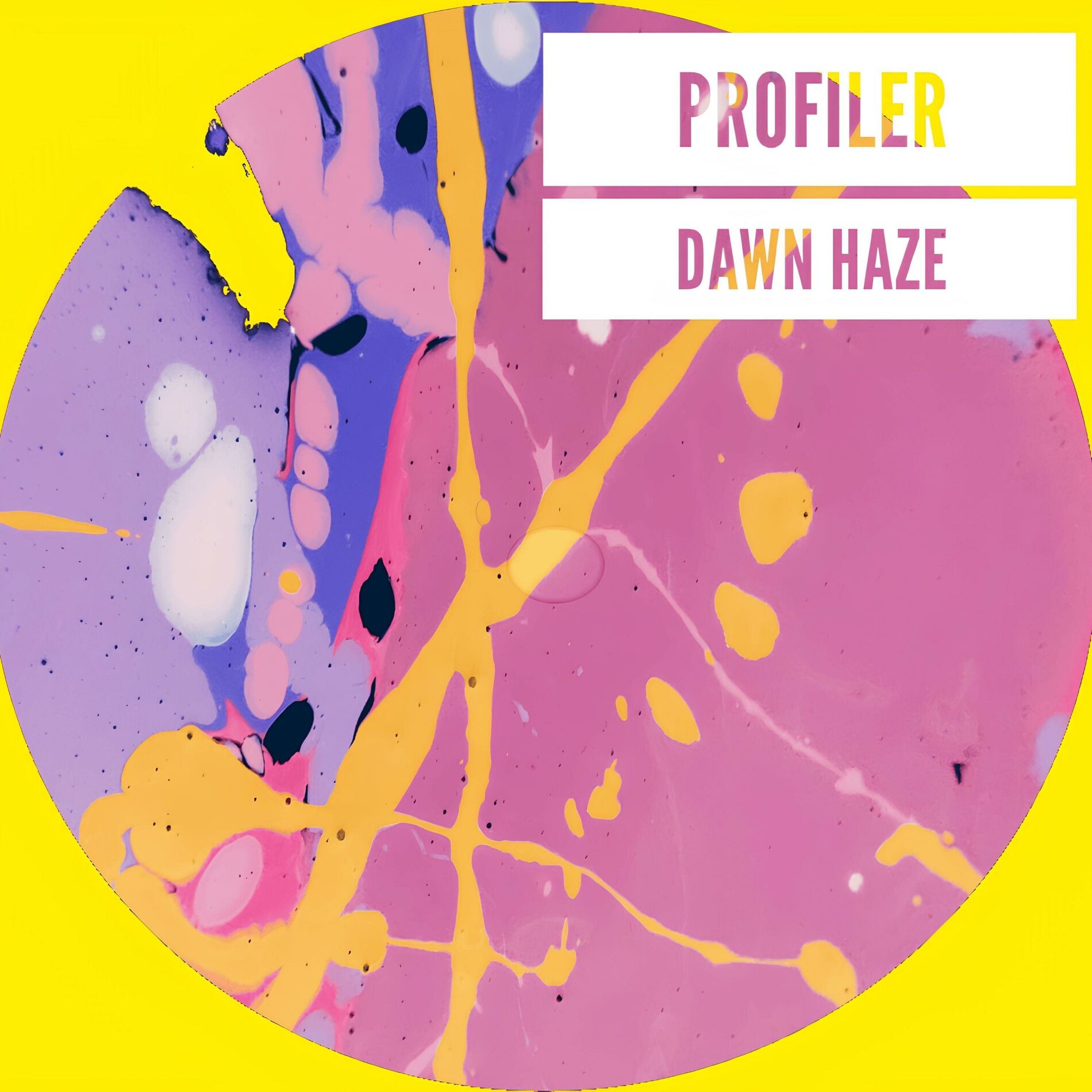 Album cover of Dawn Haze
