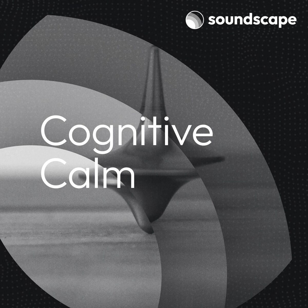 Album cover of Cognitive Calm