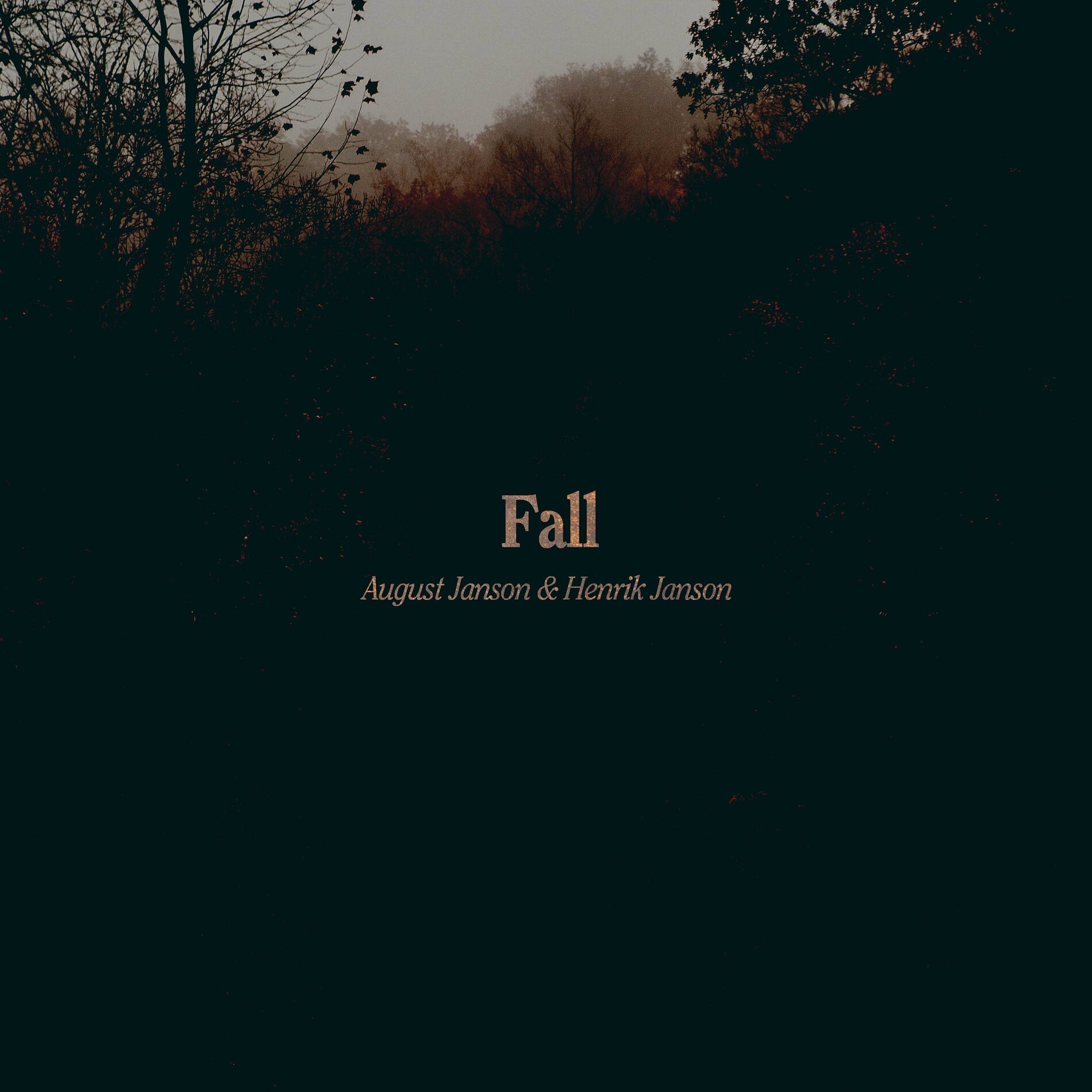 Album cover of Fall