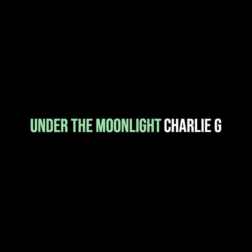 Picture of Under the Moonlight