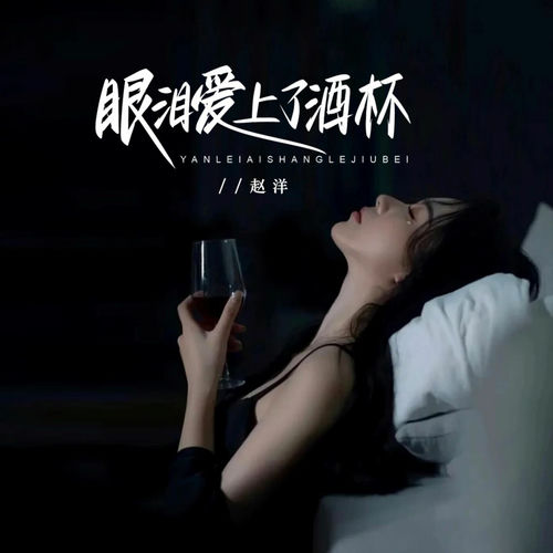 眼泪爱上了酒杯 (DJBanan版)