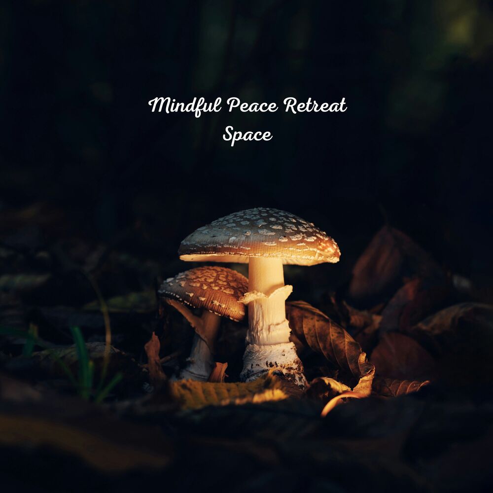 Picture of Mindful Peace Retreat Space