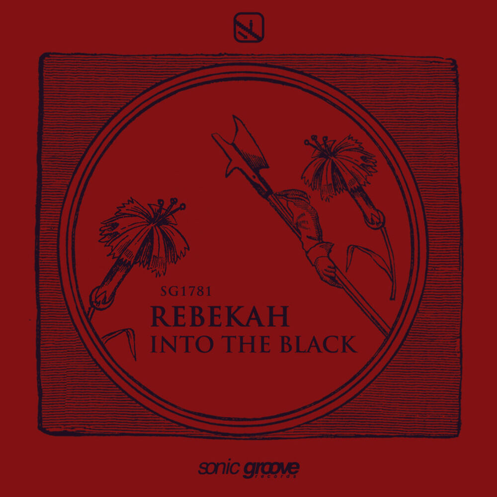 Picture of Into the Black