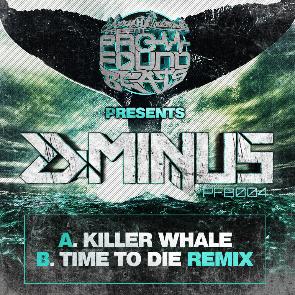 Picture of Killer Whale