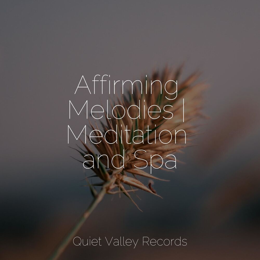 Picture of Affirming Melodies | Meditation and Spa