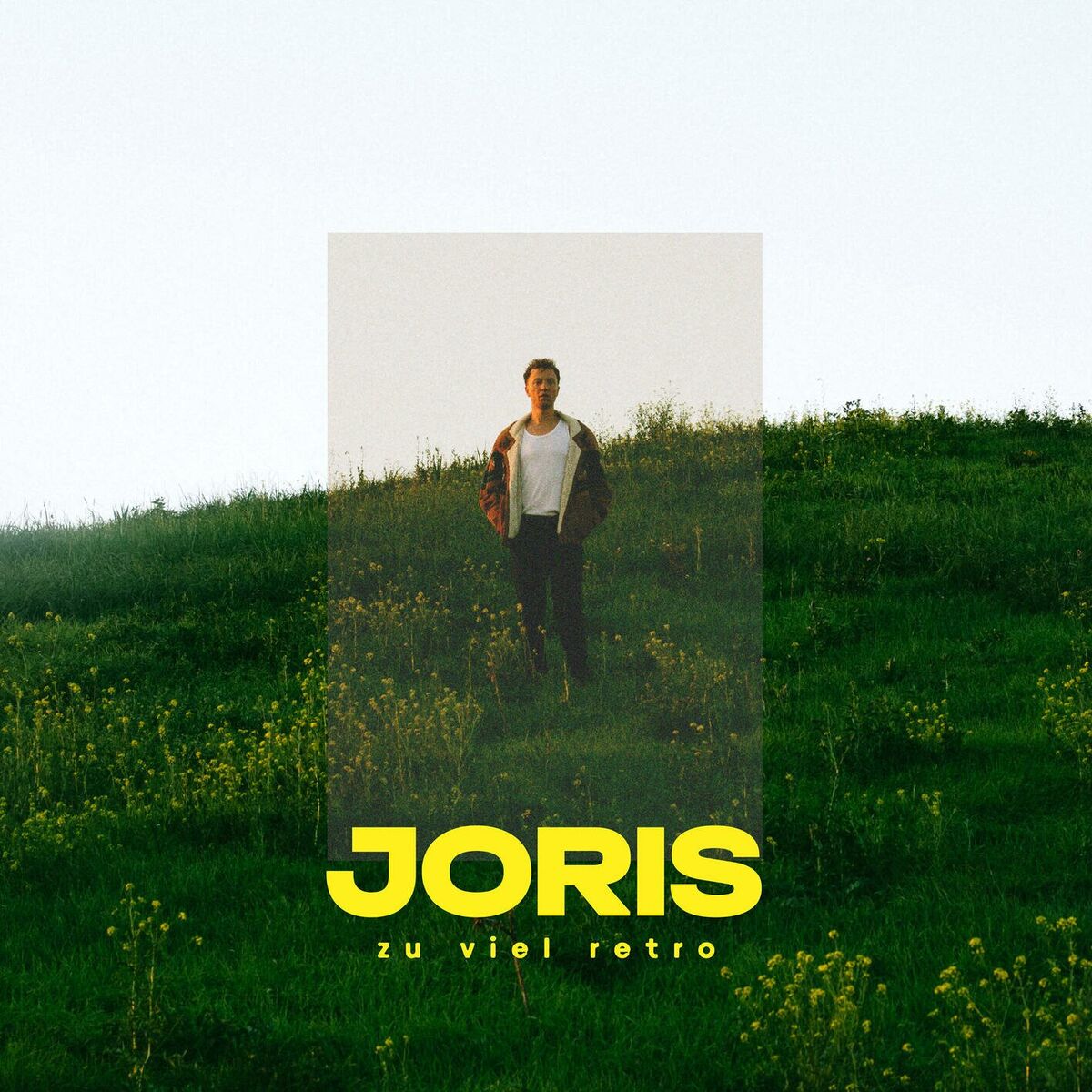 Album cover of zu viel retro