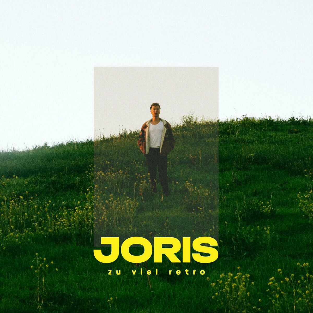 Album cover of zu viel retro