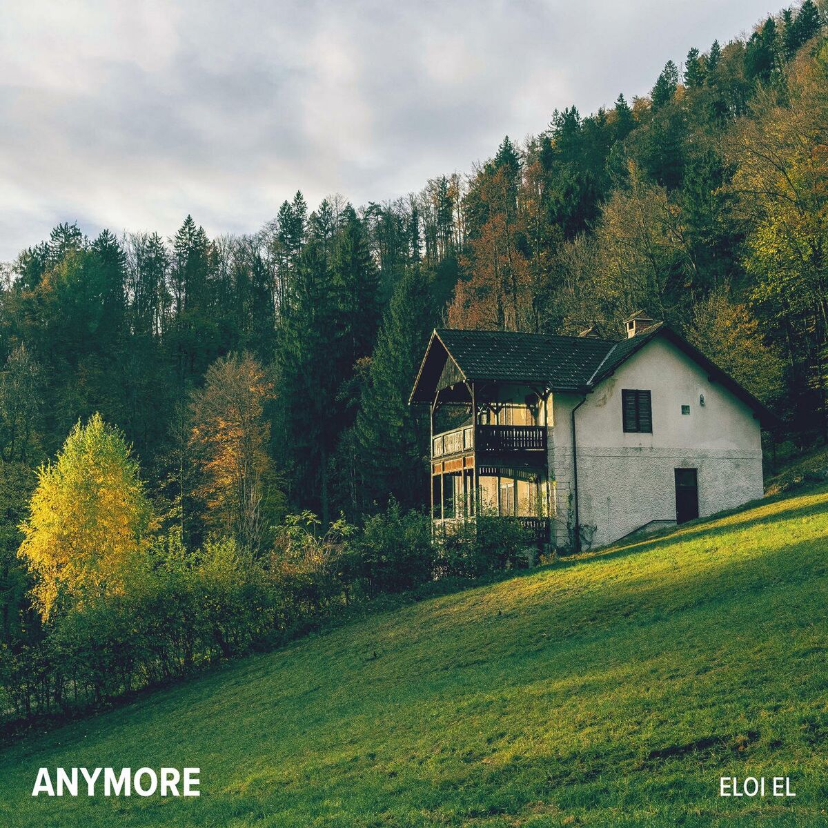 Album cover of Anymore
