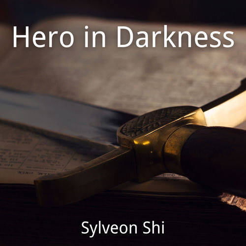 Hero in Darkness