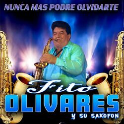 Cover of Nunca Mas Podre Olvidarte