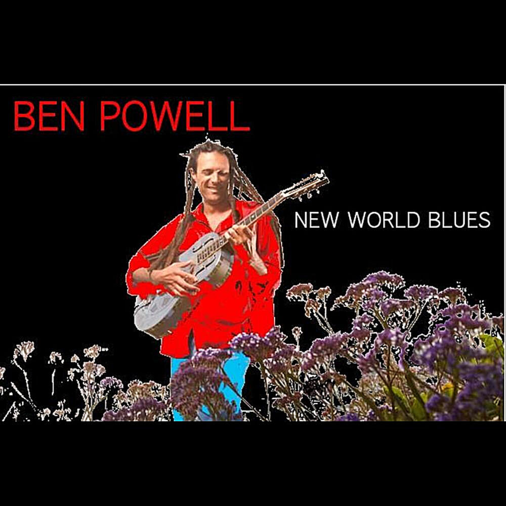 Picture of New World Blues