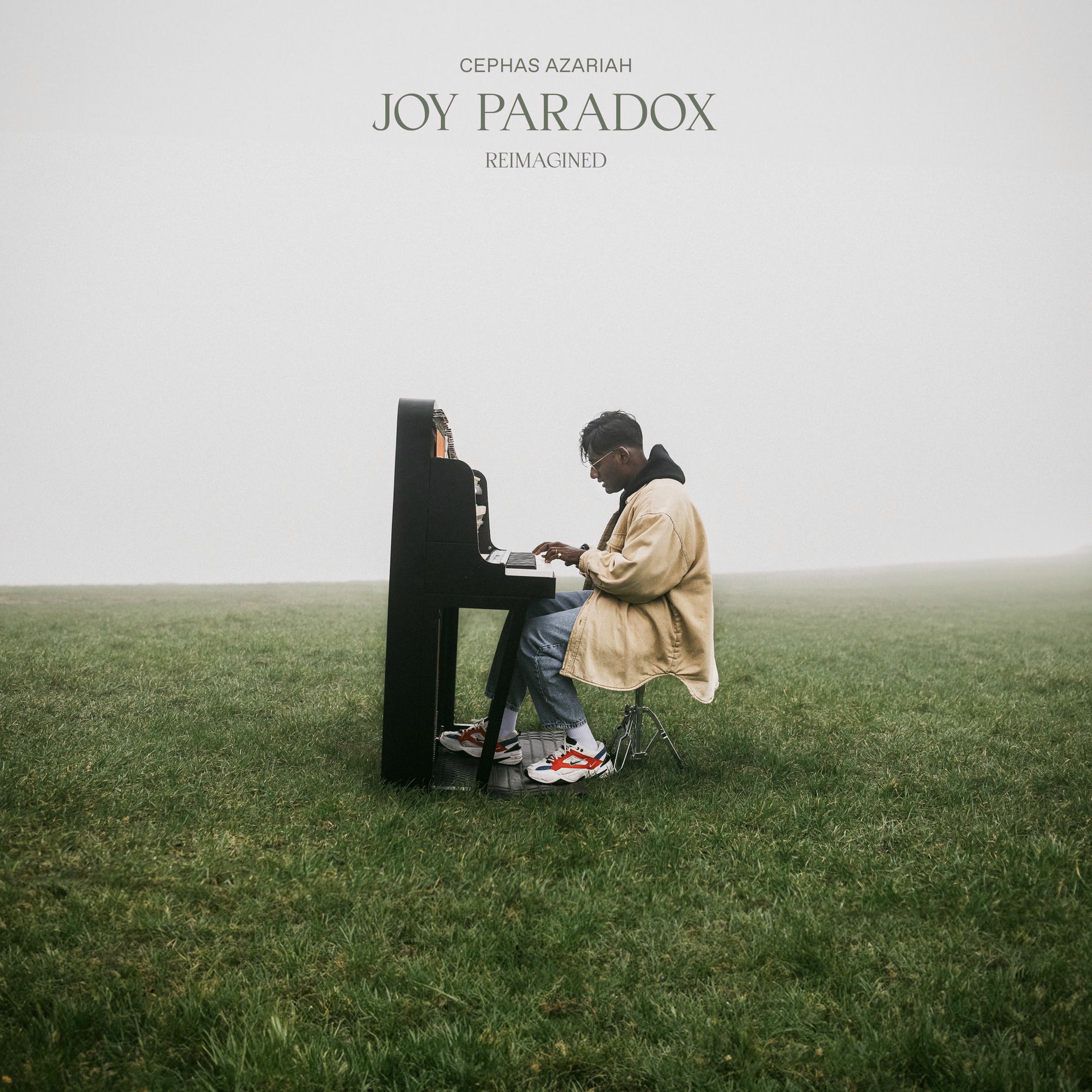 Album cover of Joy Paradox (Reimagined)