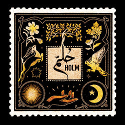 Holm