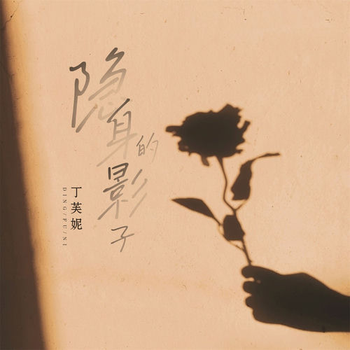 隐身的影子 (DJ版)