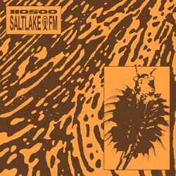Cover of SALTLAKE FM
