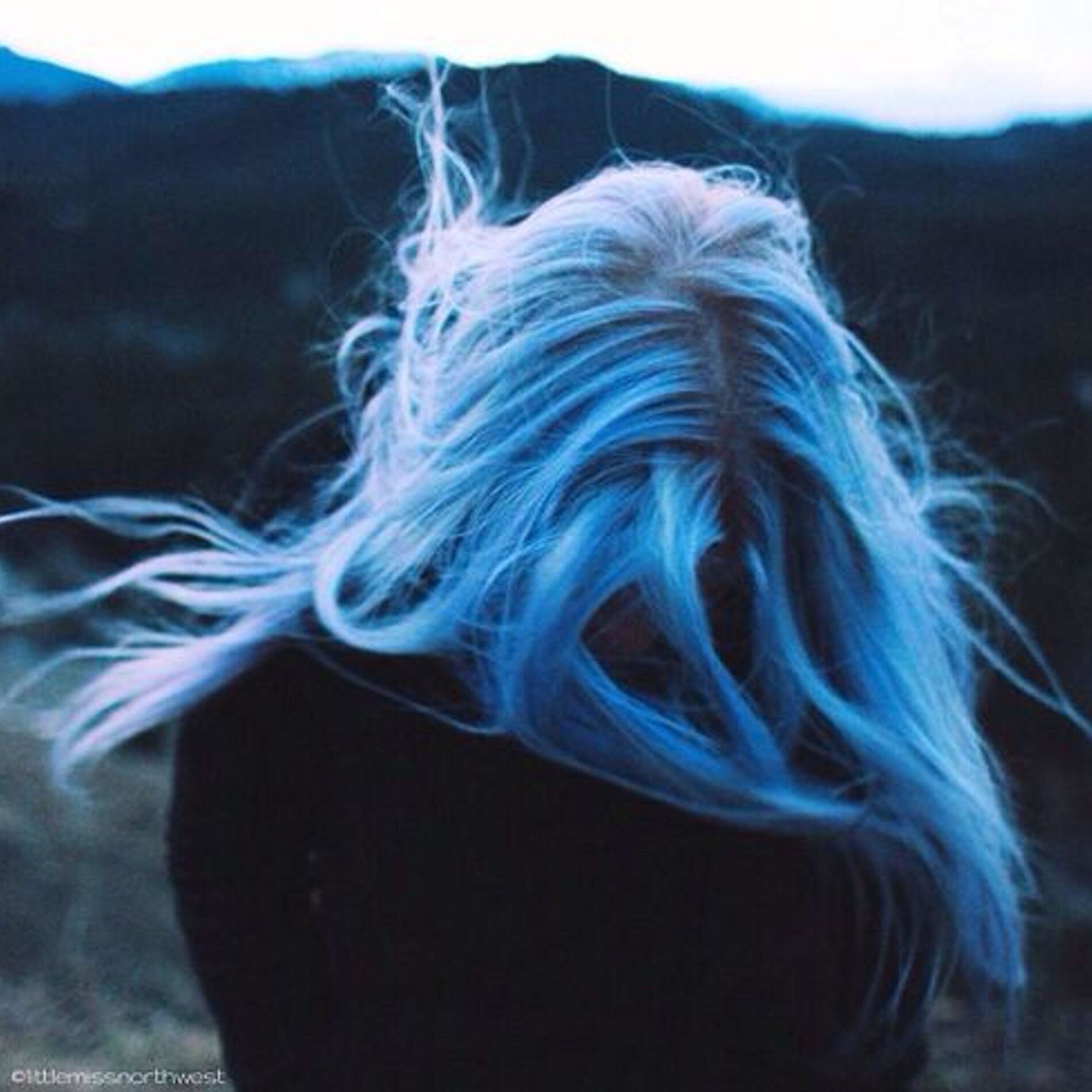 Album cover of evergreen