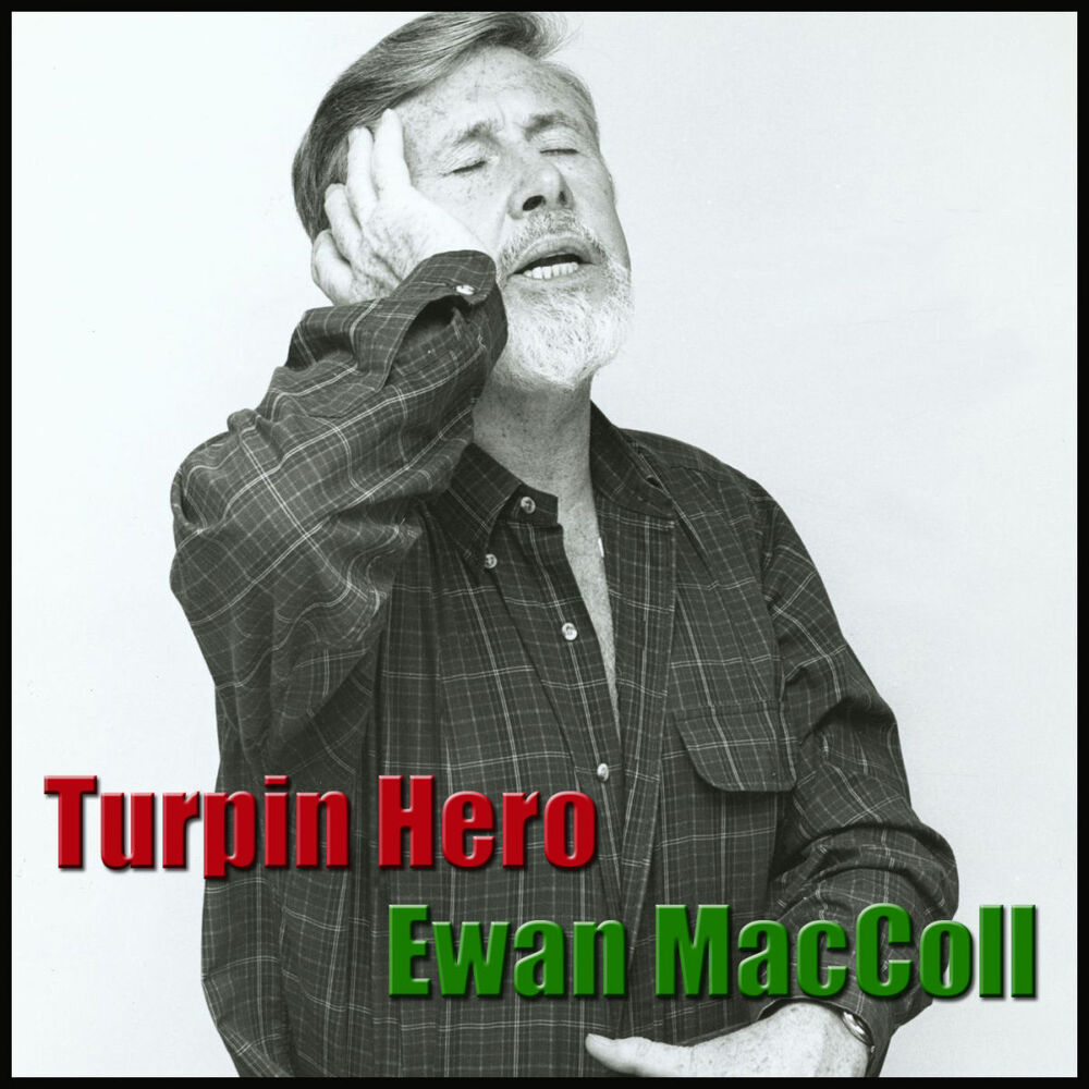 Picture of Turpin Hero