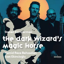Cover of The Dark Wizard's Magic Horse