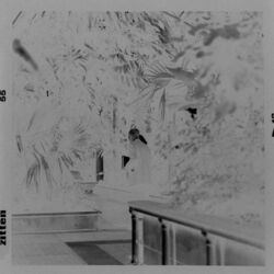 Cover of Something to say