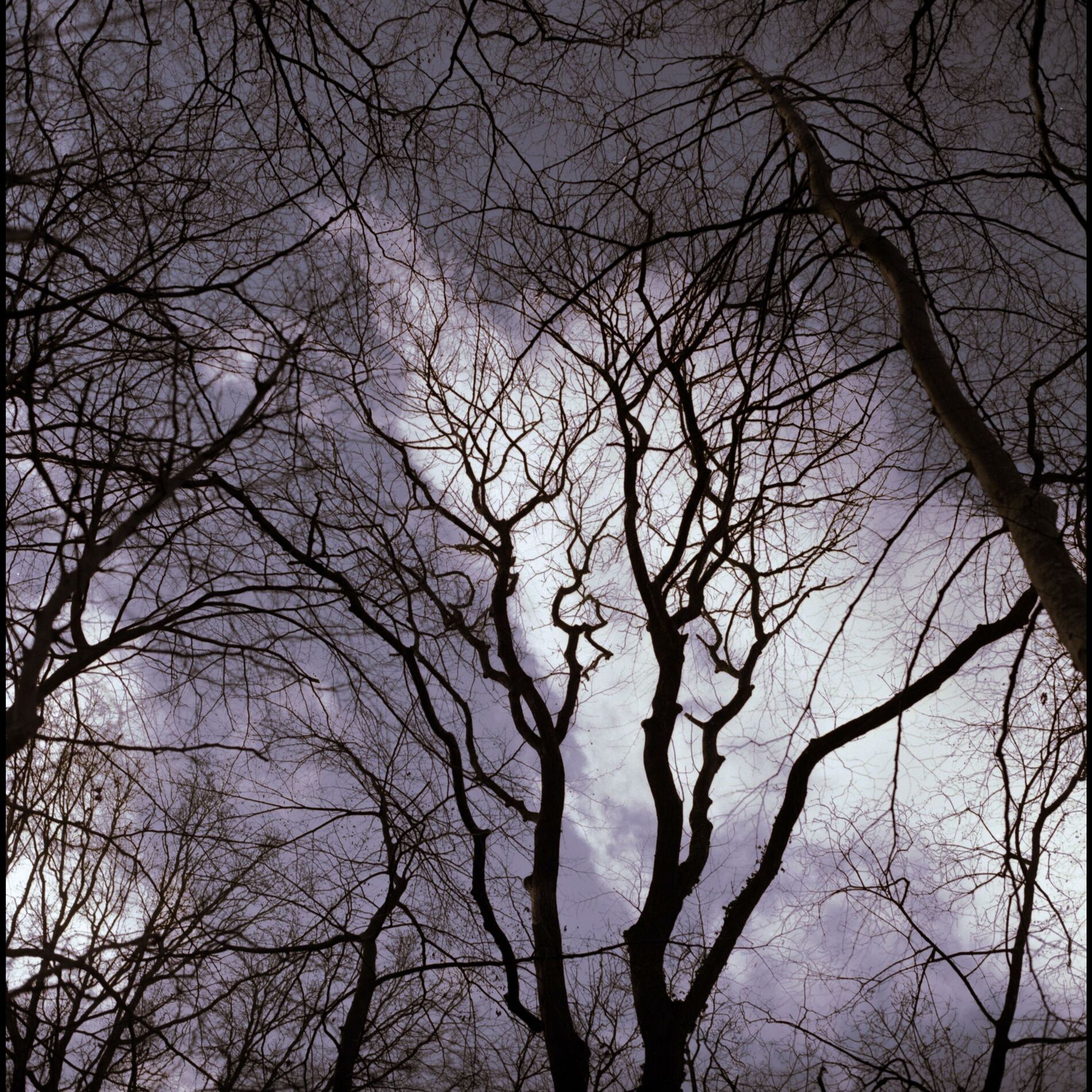 Album cover of Lass mich schlafen/Тишина (feat. bishkek)