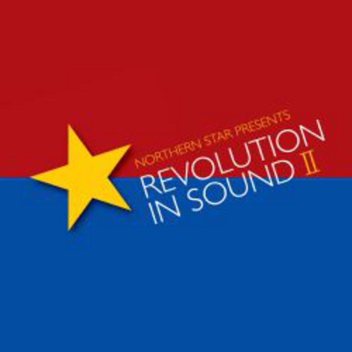 Album cover of Revolution In Sound II