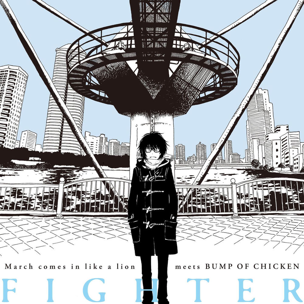 Fighter cover