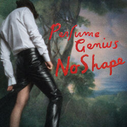 Cover of No Shape
