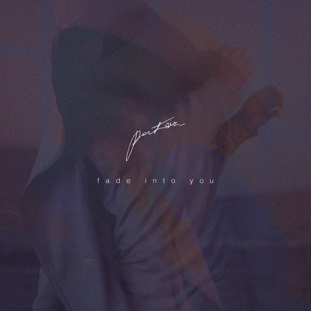 Album artwork for Fade into You by Portair