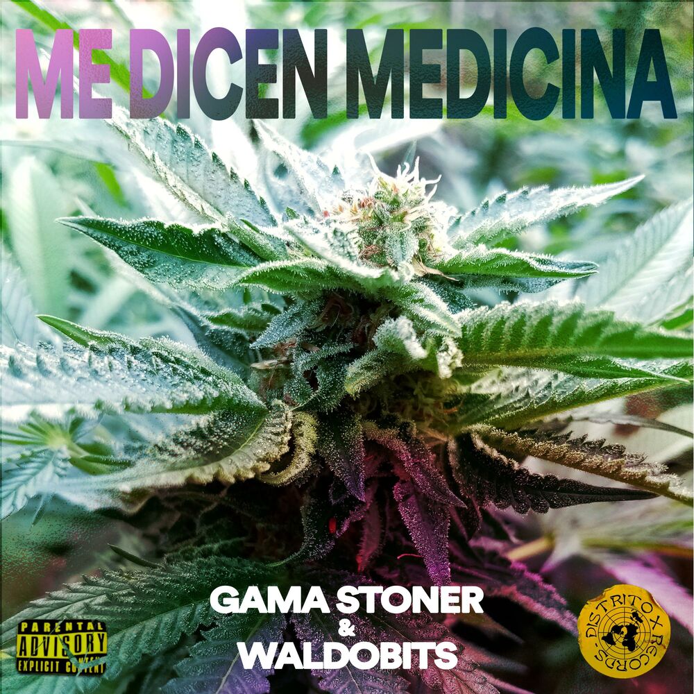 Picture of Me dicen medicina (feat. Waldobits)