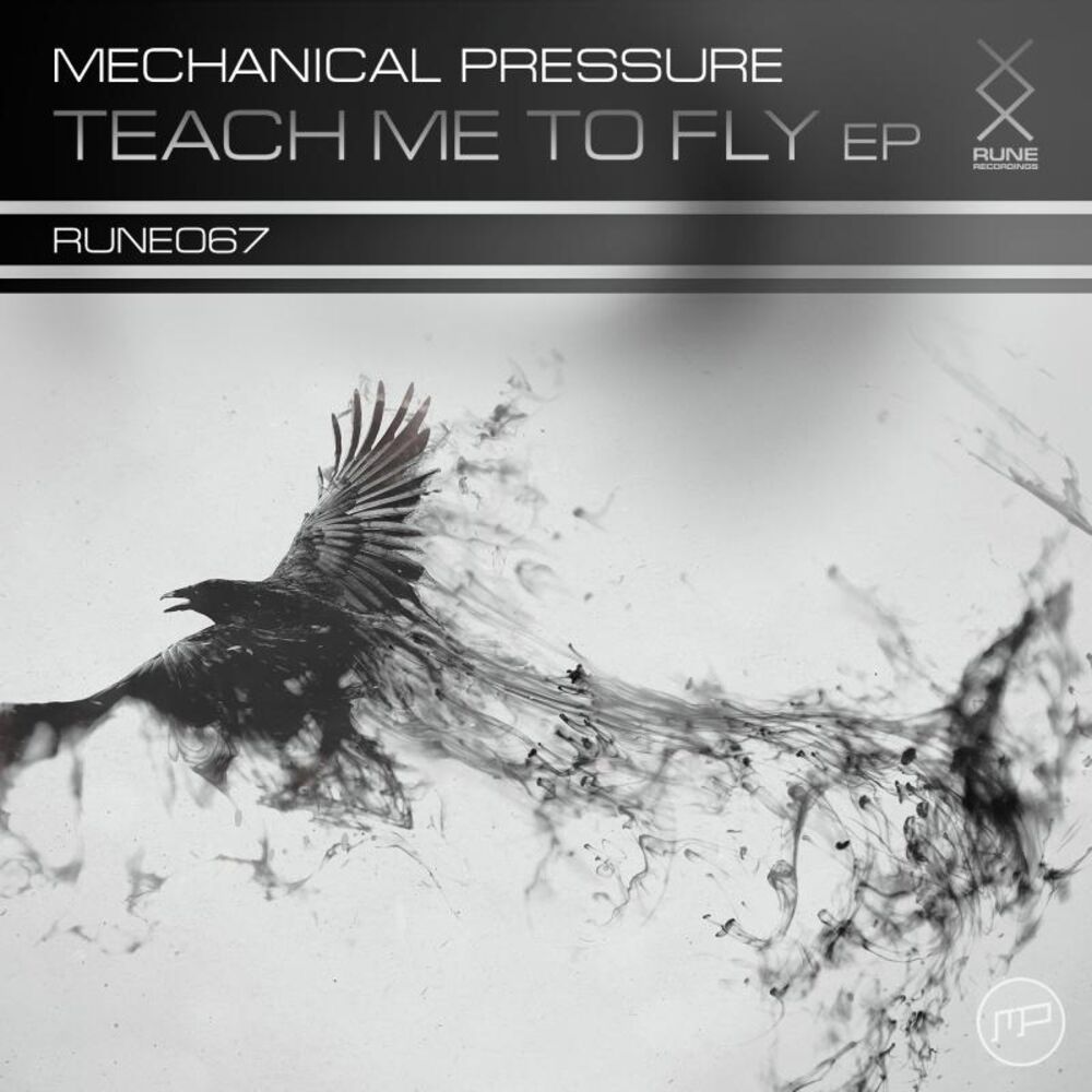 Picture of Teach Me To Fly