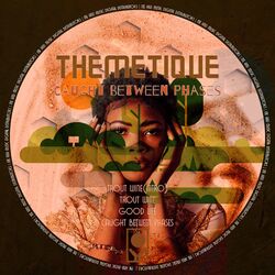 Cover of Caught Between Phases