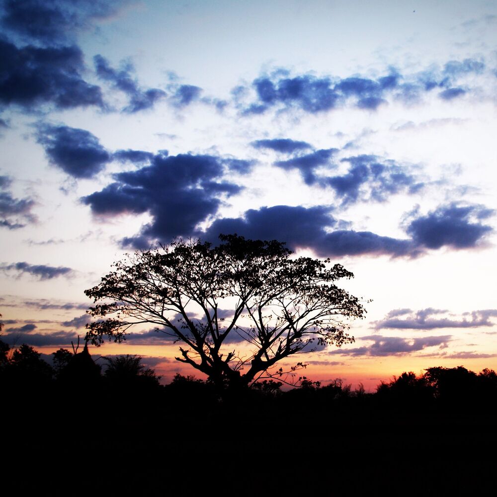 Picture of 40 Sleepy Songs for Deep Sleep and Serenity