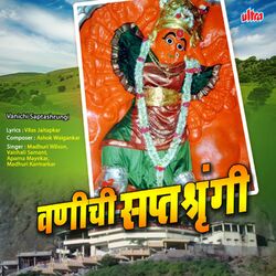 Cover of Vanichi Saptashrungi