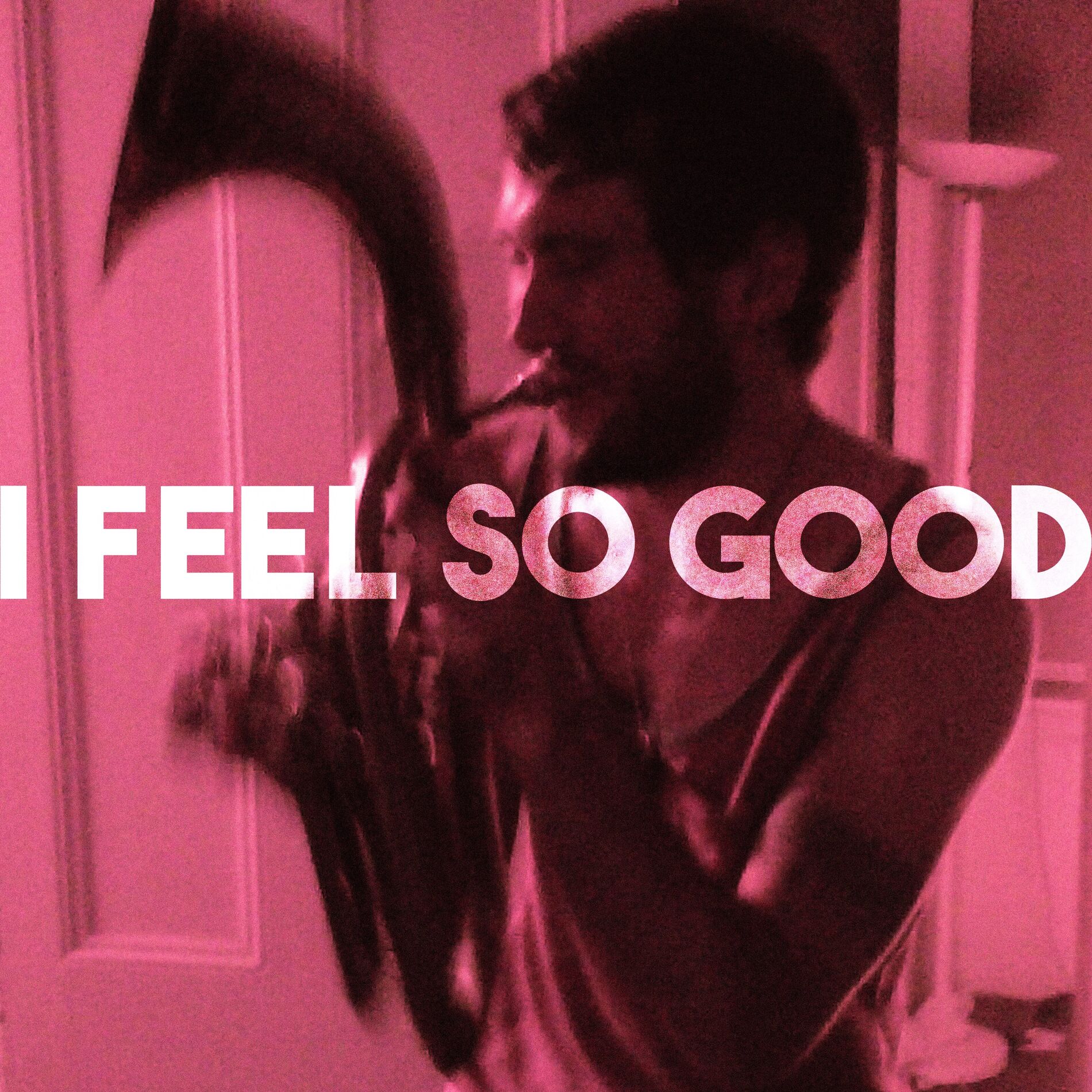 Album cover of I Feel So Good