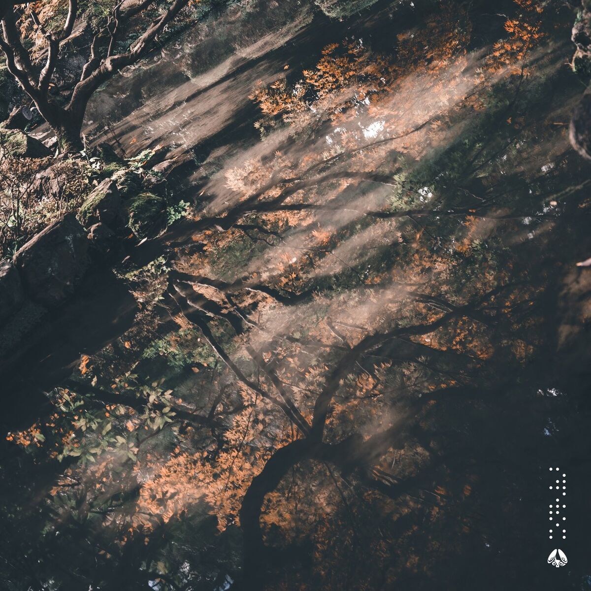 Album picture of Afterimage