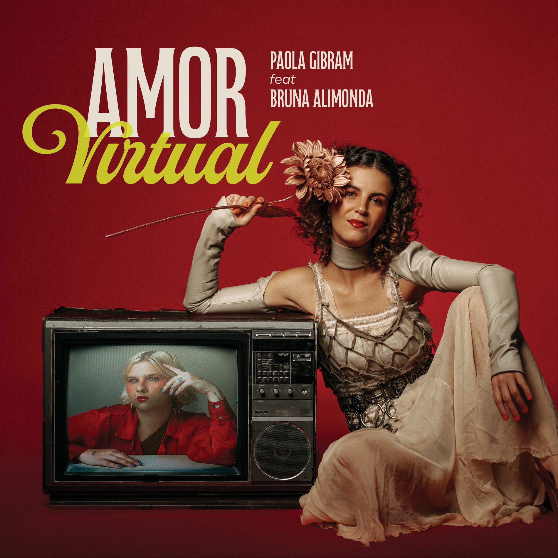 Album cover of Amor Virtual