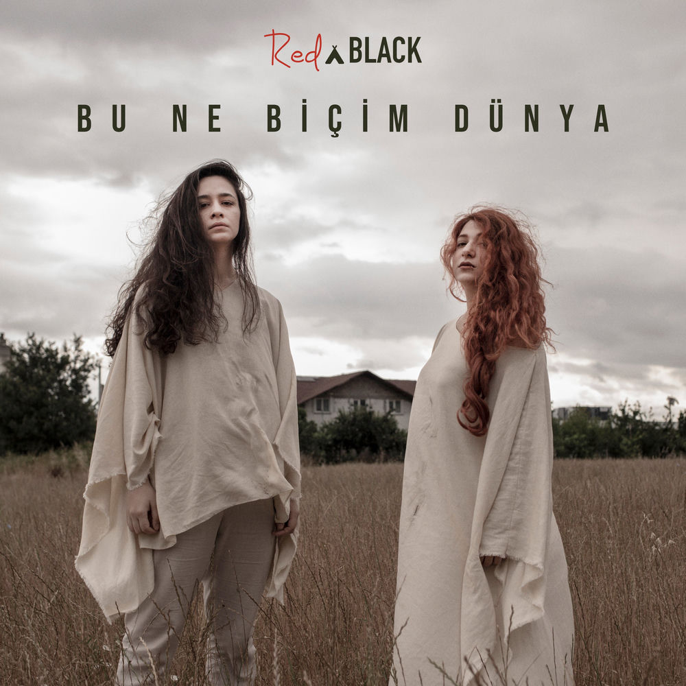 Pochette du titre Bu Ne Biçim Dünya