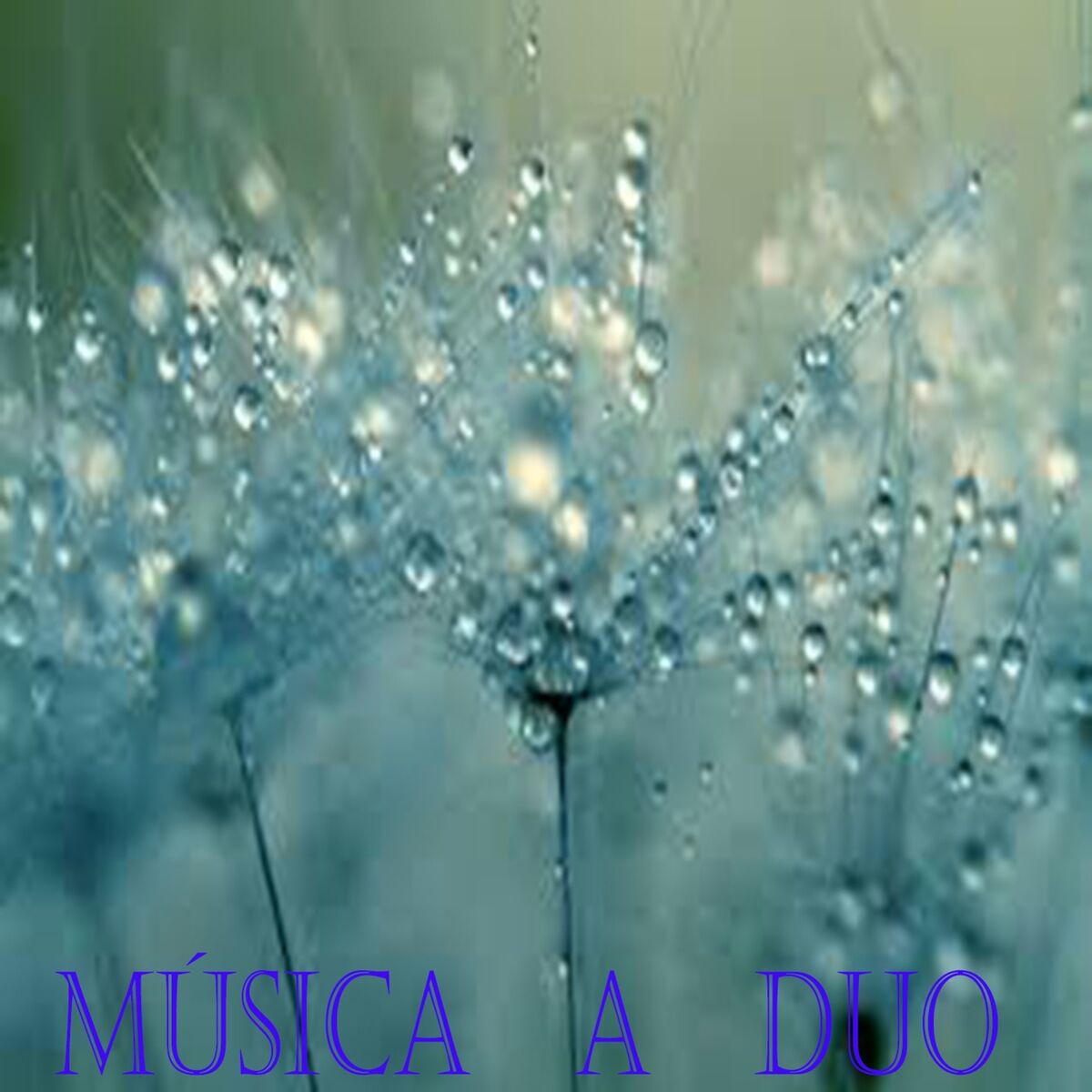 Album cover of Música a Duo
