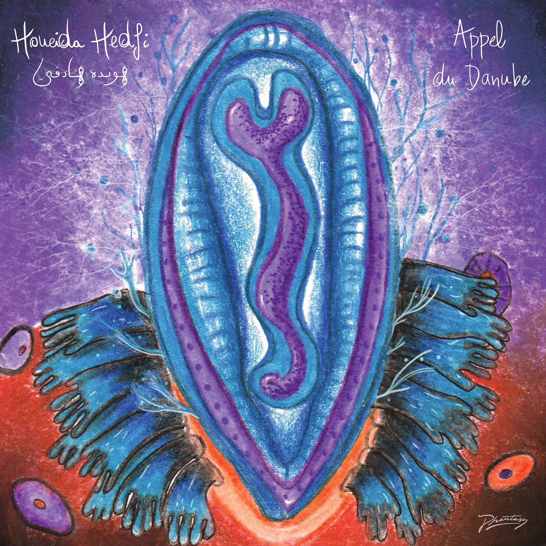 Album cover of Appel du Danube