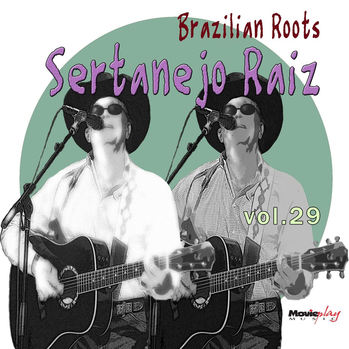 Album cover of Sertanejo Raiz Vol. 29