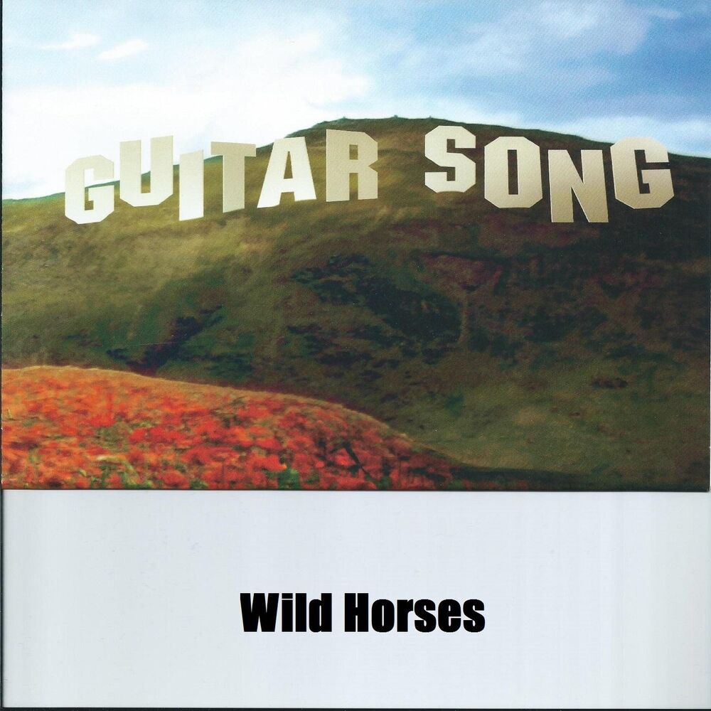 Picture of Wild Horses