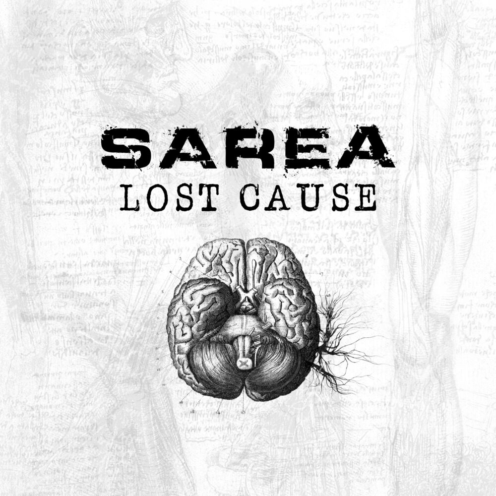 Picture of Lost Cause
