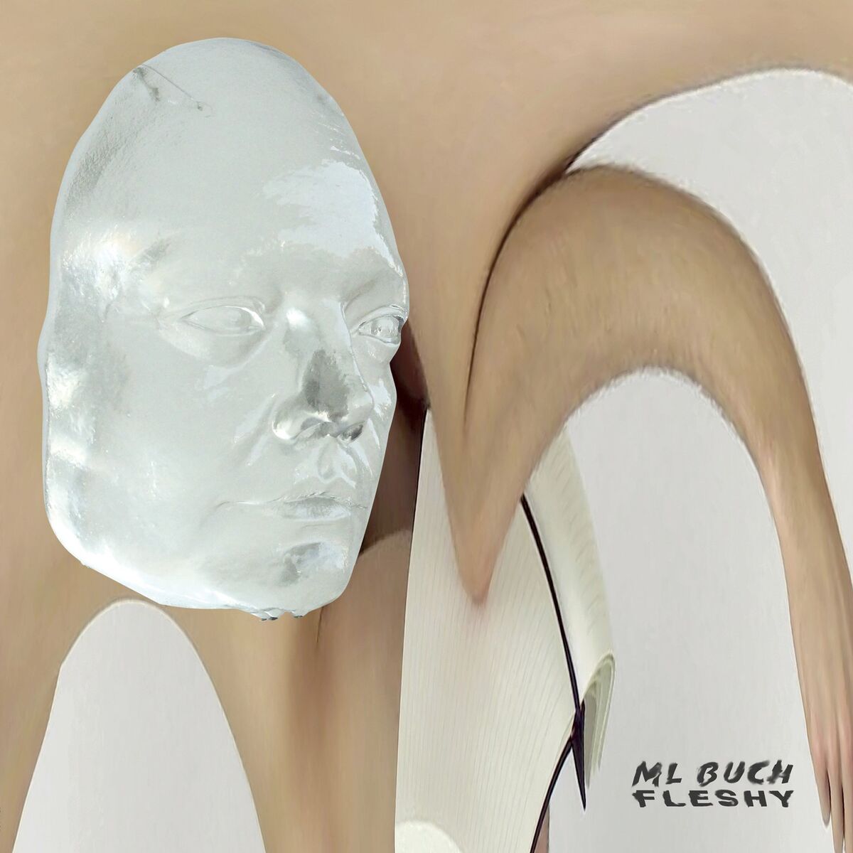 Album cover of Fleshy