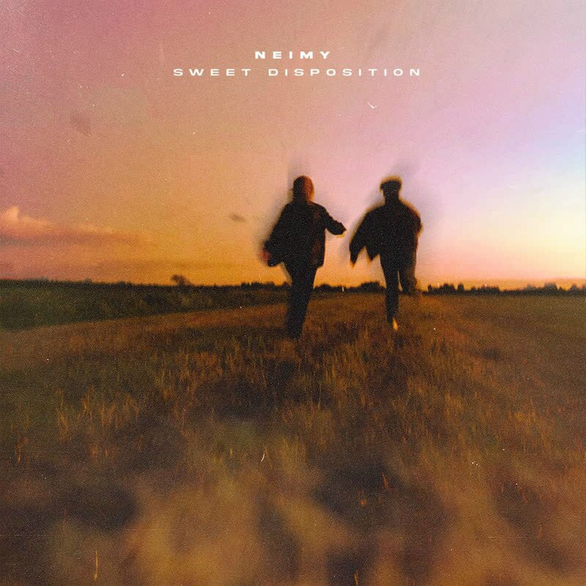 Album cover of Sweet Disposition